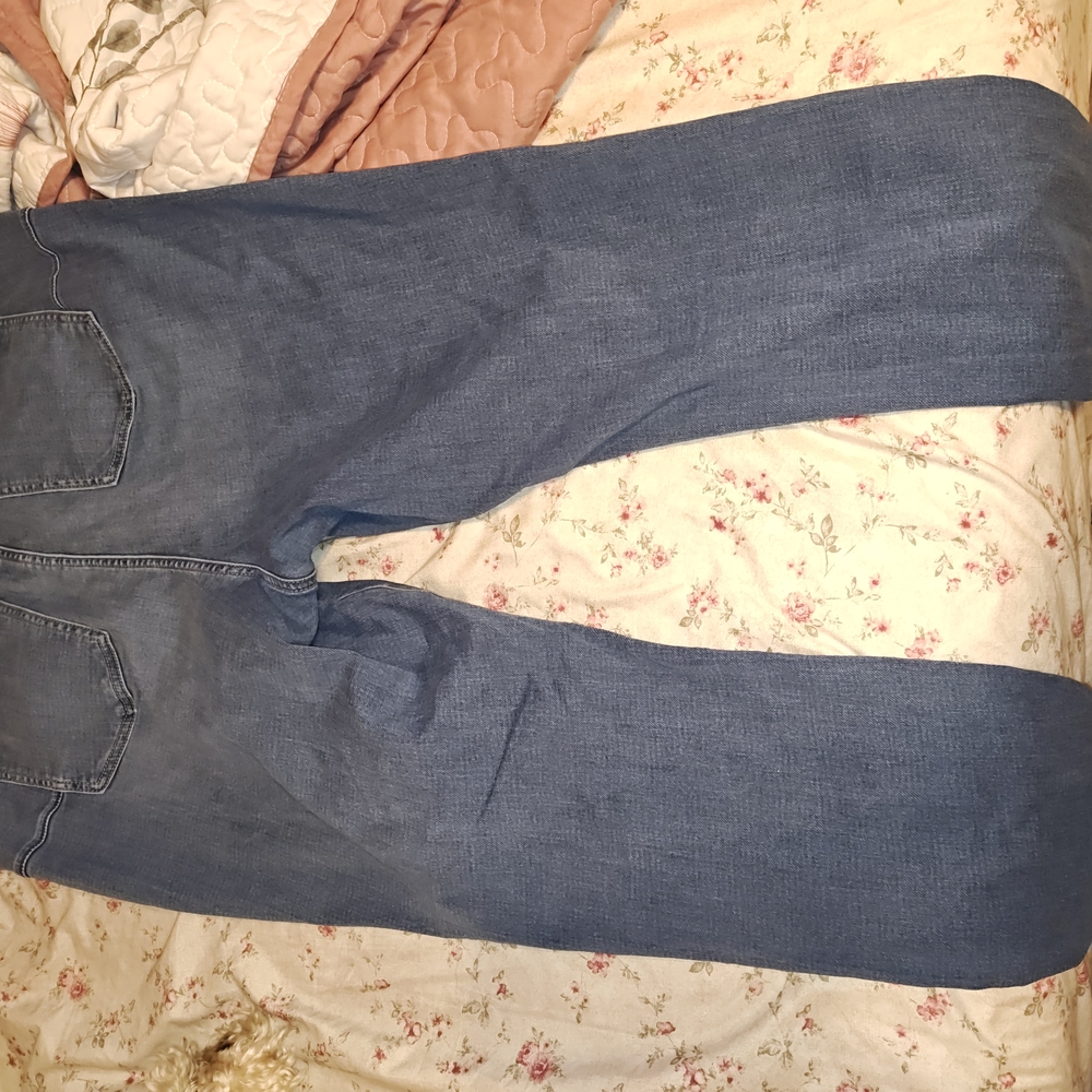 Torrid Bombshell Jeggings 22T-  Classic Blue Women's Jeans